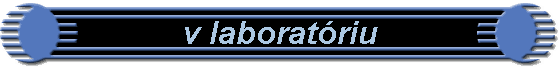 v laboratoriu